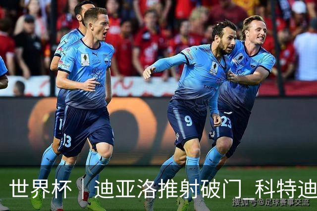 世界杯｜迪亚洛推射破门 科特迪瓦队绝杀厄瓜多尔队
